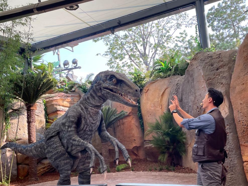 北京欢乐谷只能玩半天吗,北京欢乐谷一天玩不完怎么办