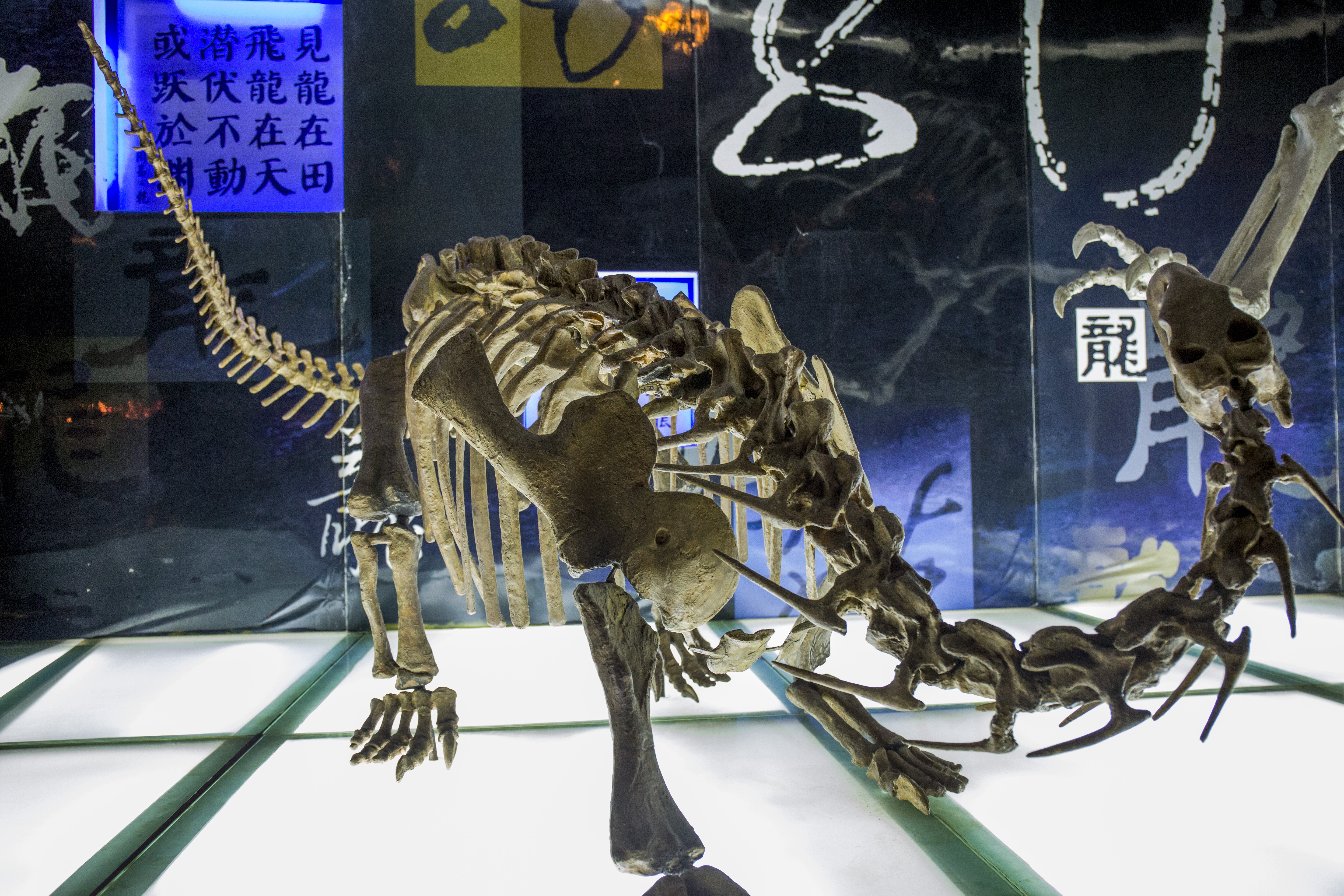 常州最豪华的酒店,常州恐龙园树屋酒店