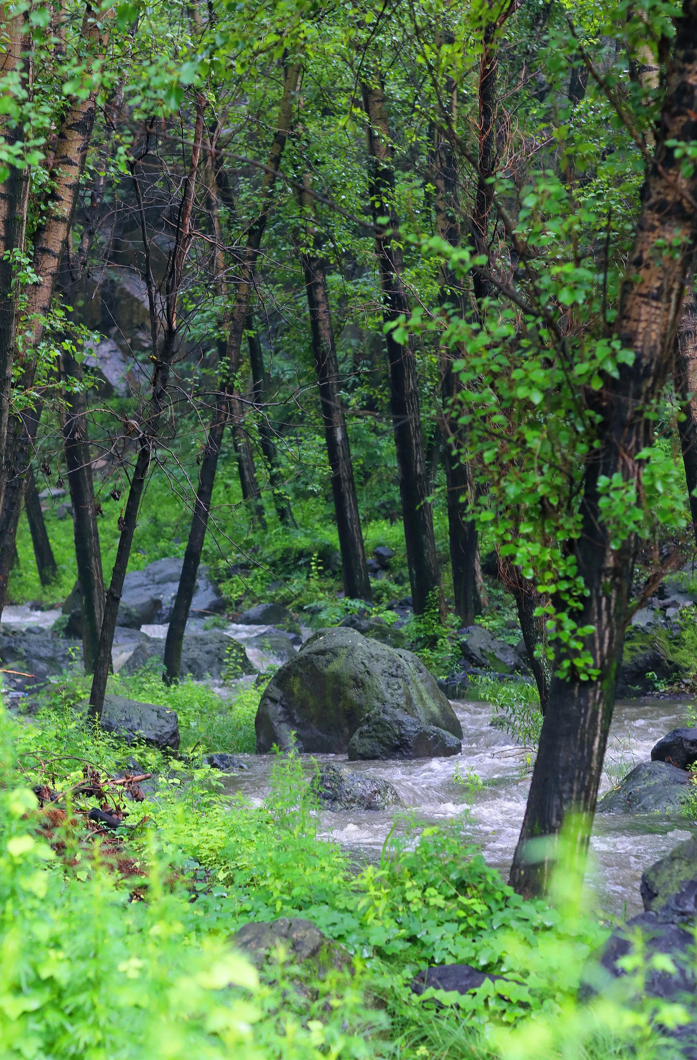 北京创意野奢酒店推荐,北京室内高端度假酒店推荐
