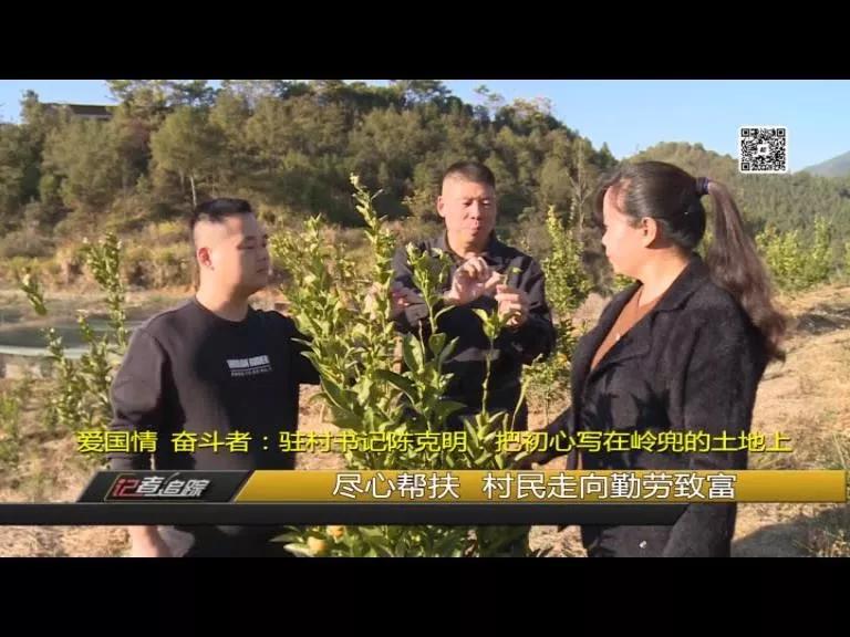 苏坂镇：两年达村级脱贫，驻村书记陈克明把初心写在岭兜的土地上