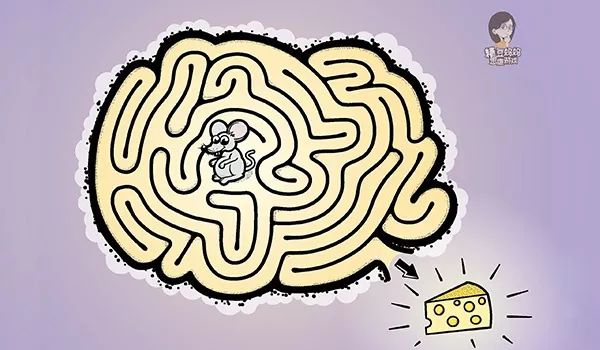 3-4岁空间方位思维训练游戏,0—6岁儿童逻辑思维迷宫游戏