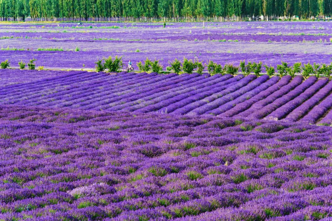 hm耐克阿迪,hm耐克优衣库阿迪达斯