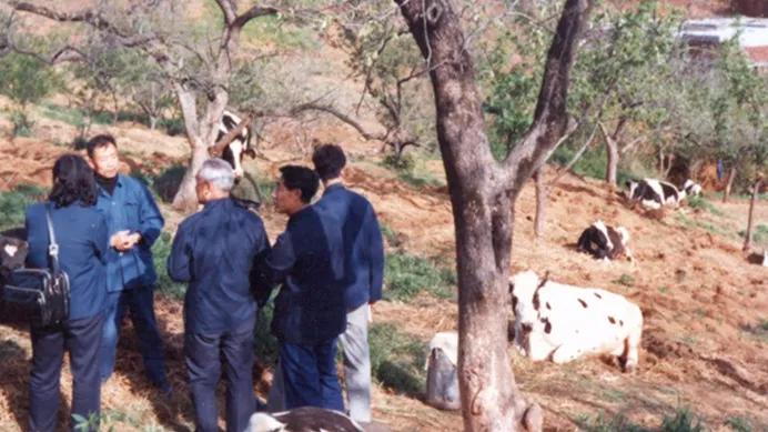 浓浓奶香,中华老字号卫岗
