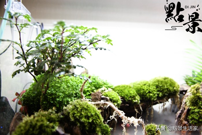 不看后悔的经营之道,不看就后悔的实用小技巧