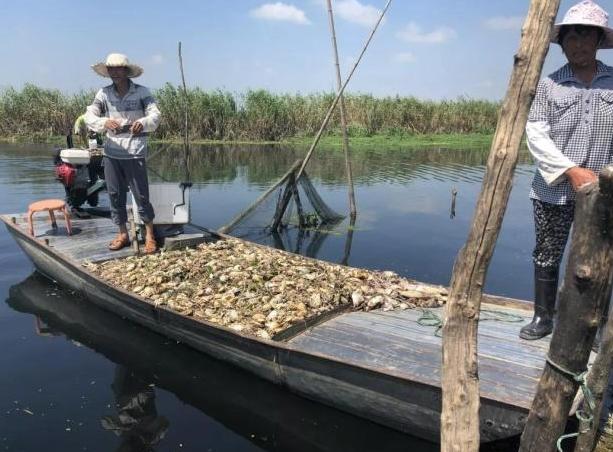 瀹夊窘鏈夊叧鏈卞厓鐠嬬殑鏅偣,鏈卞厓鐠嬫浘缁忓埌杩囩殑鏅偣