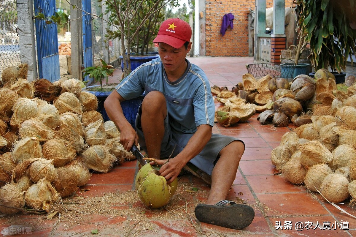 如何看待农村男青年娶妻难的问题,农村大龄男青年问题如何解决