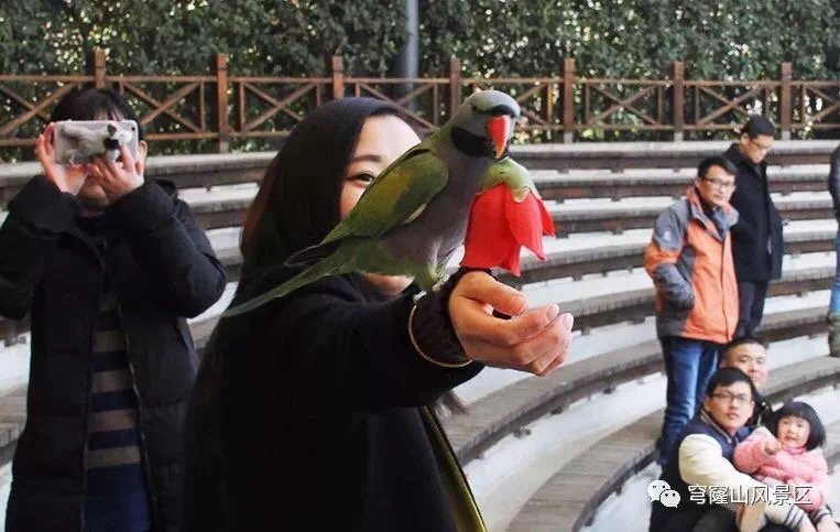 热闹春节行：春节在穹窿山留下的温暖回忆……