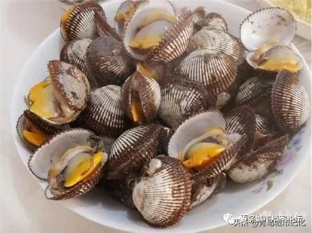 记忆中的美味是怎样的,毛蛤蜊原汁原味