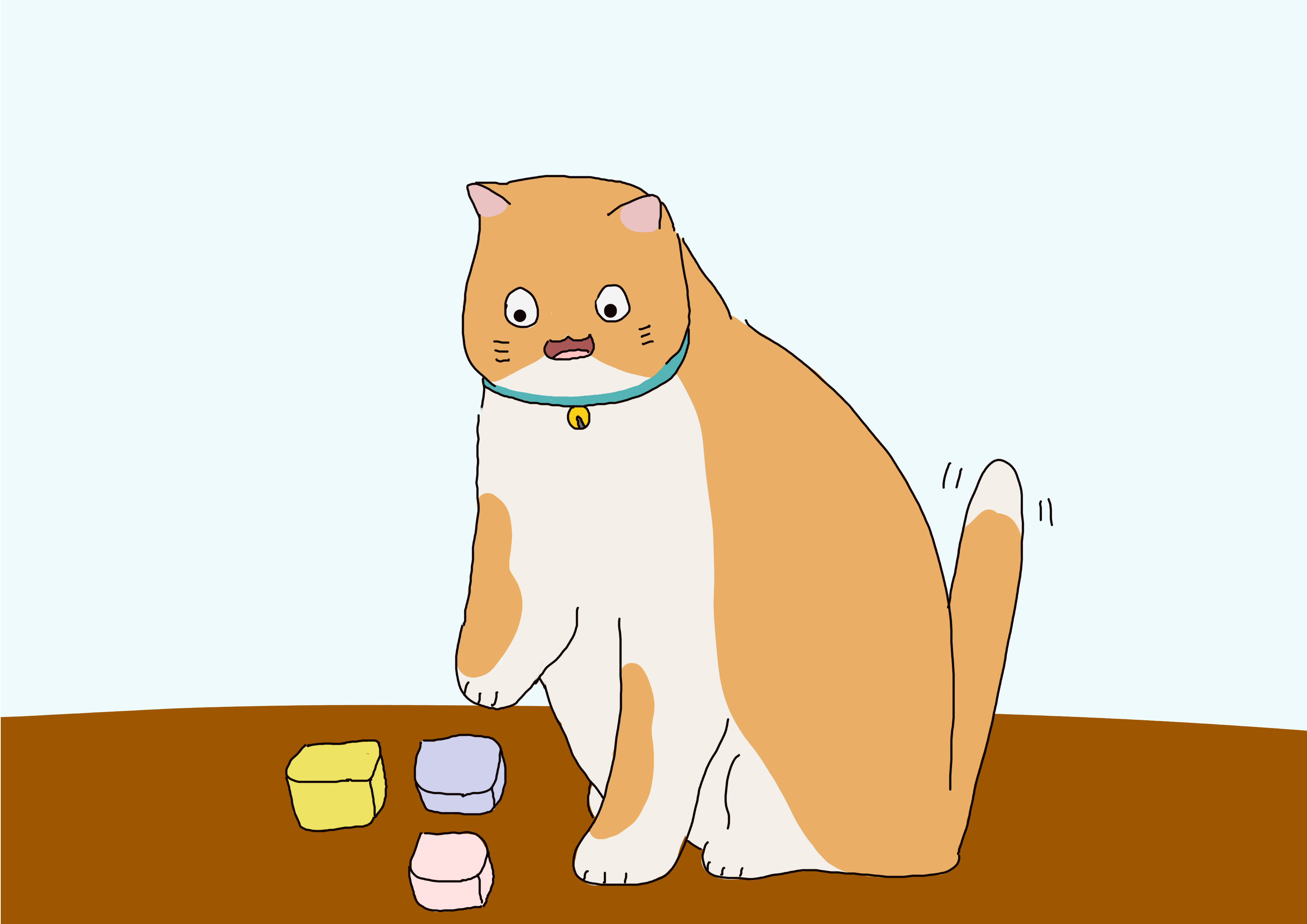 铲屎官养猫注意事项,对猫有利的3种玩耍方式