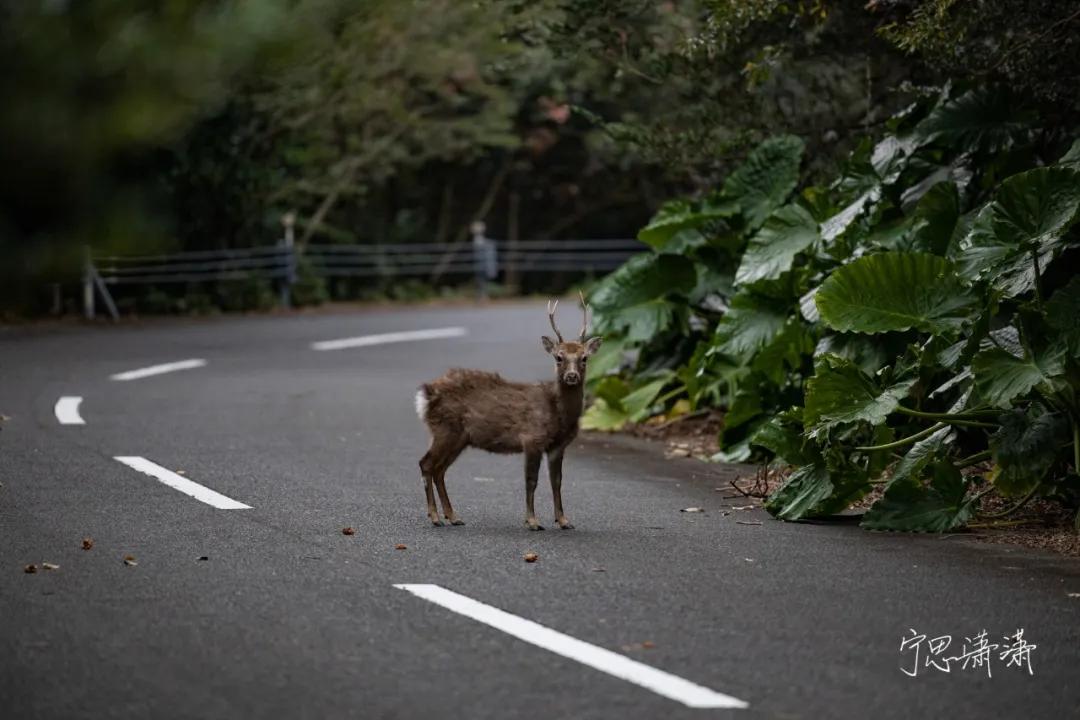 旅行买什么相机最好,外出旅行买什么样的相机好