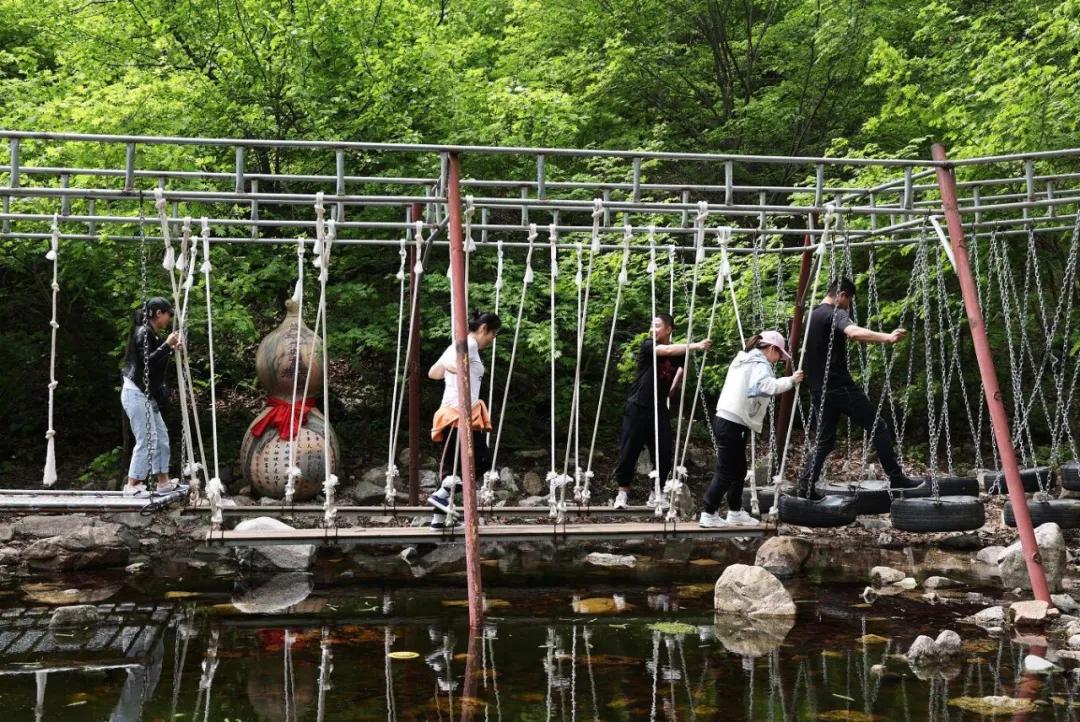 祖国颂|走进大梨树看小康
