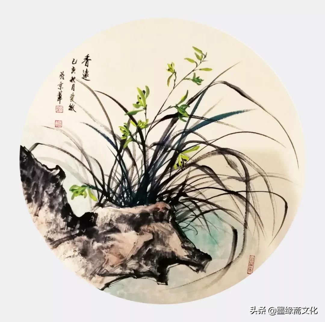 刘忠陵兰花作品欣赏,写实画兰草作品欣赏