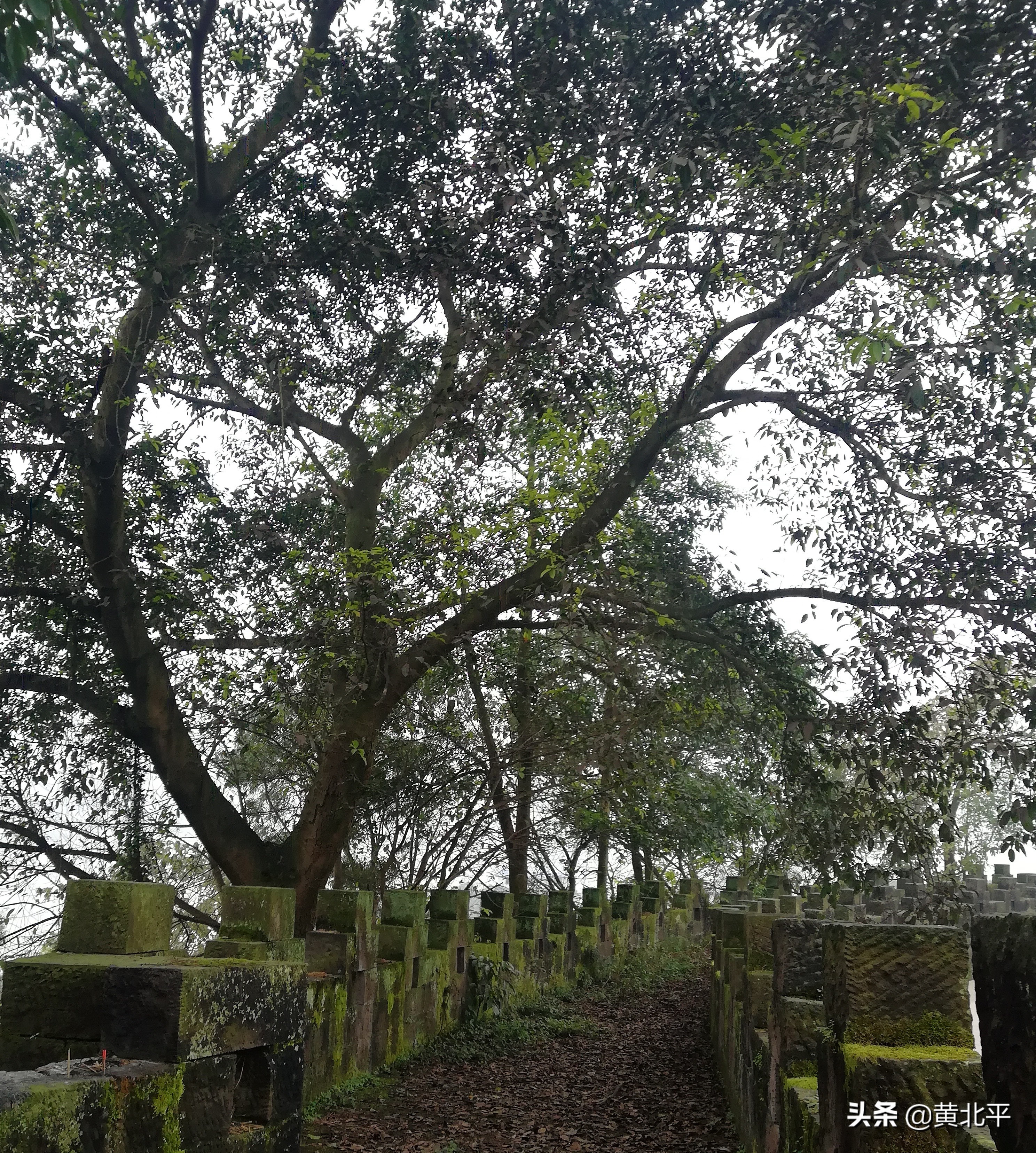 泸州神臂城遗址,老泸州遗址神臂城历史介绍