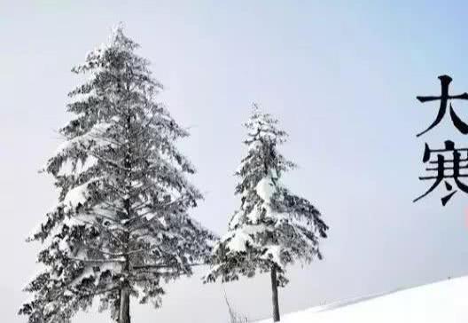 中国诗歌周刊第268期总结,中国诗歌周刊第87期