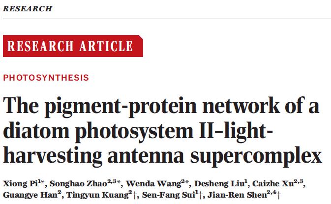 中国冷冻电镜技术进展,冷冻电镜最新研究