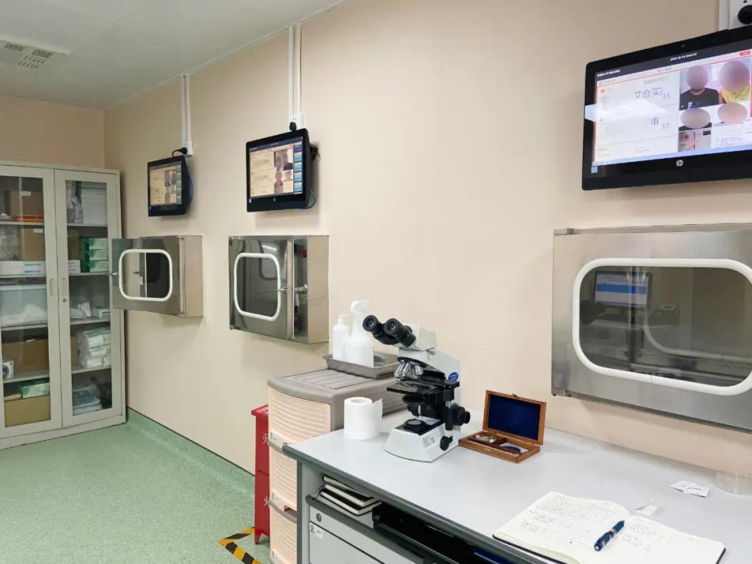 实验室探险记之胚胎小宝诞生记