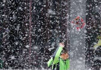 柳絮纷飞季怎么预防,柳絮纷飞这天气应该注意些啥