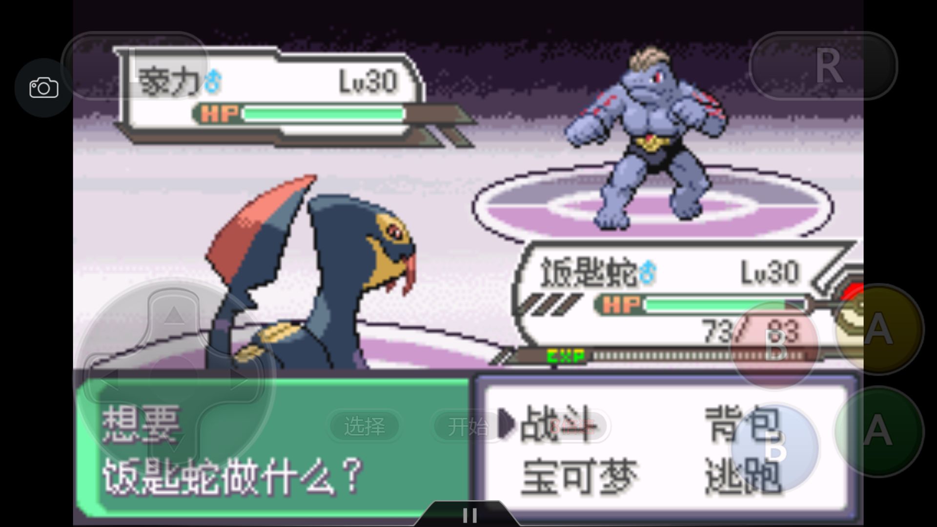 究极绿宝石5一周目攻略,究极绿宝石一周目神兽攻略