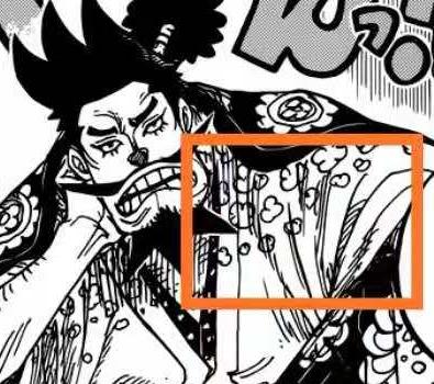 1041话分析海贼王,海贼王最新话白胡子海贼团