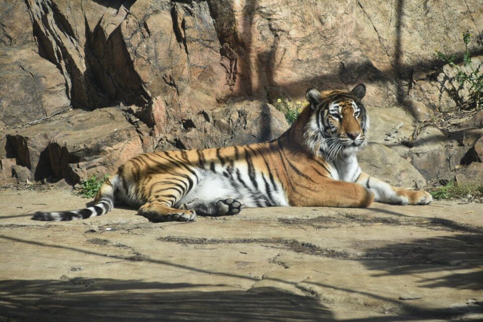 曾经的青岛雨林谷，摇身一变身价爆涨，门票太贵游人稀少