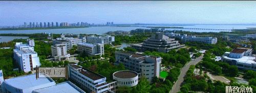 常熟阿诺凭什么做dms的裁判,常熟凭什么房价这么贵