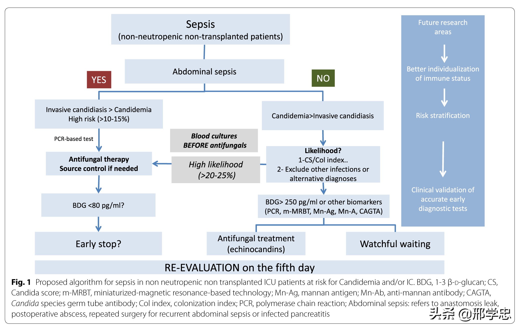 侵袭性真菌病诊断标准,侵袭性真菌的治疗原则
