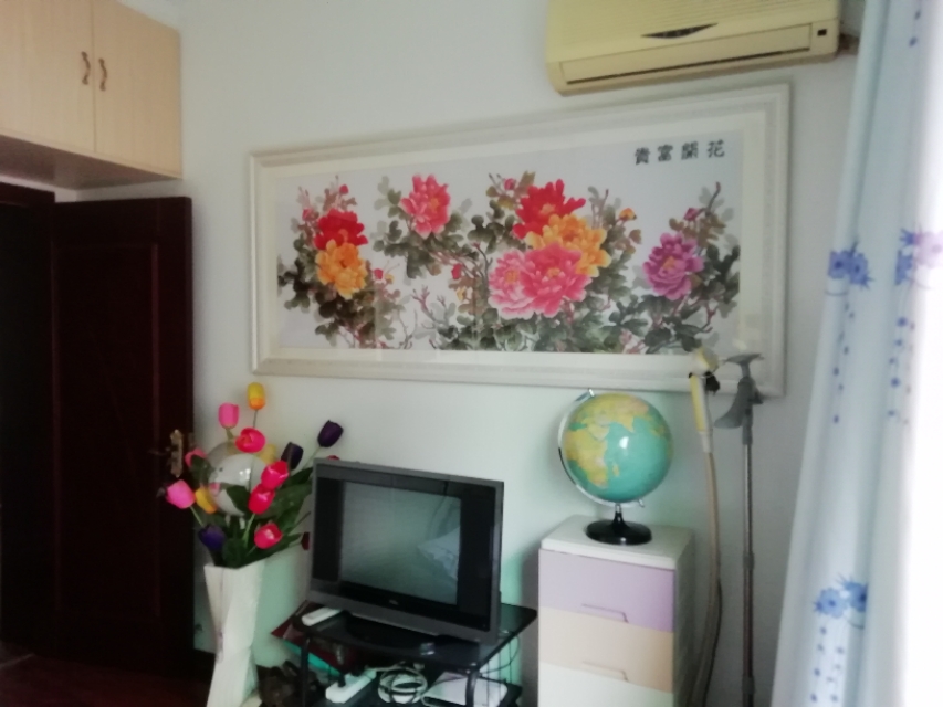 我家的十字绣六尺牡丹,我的十字绣