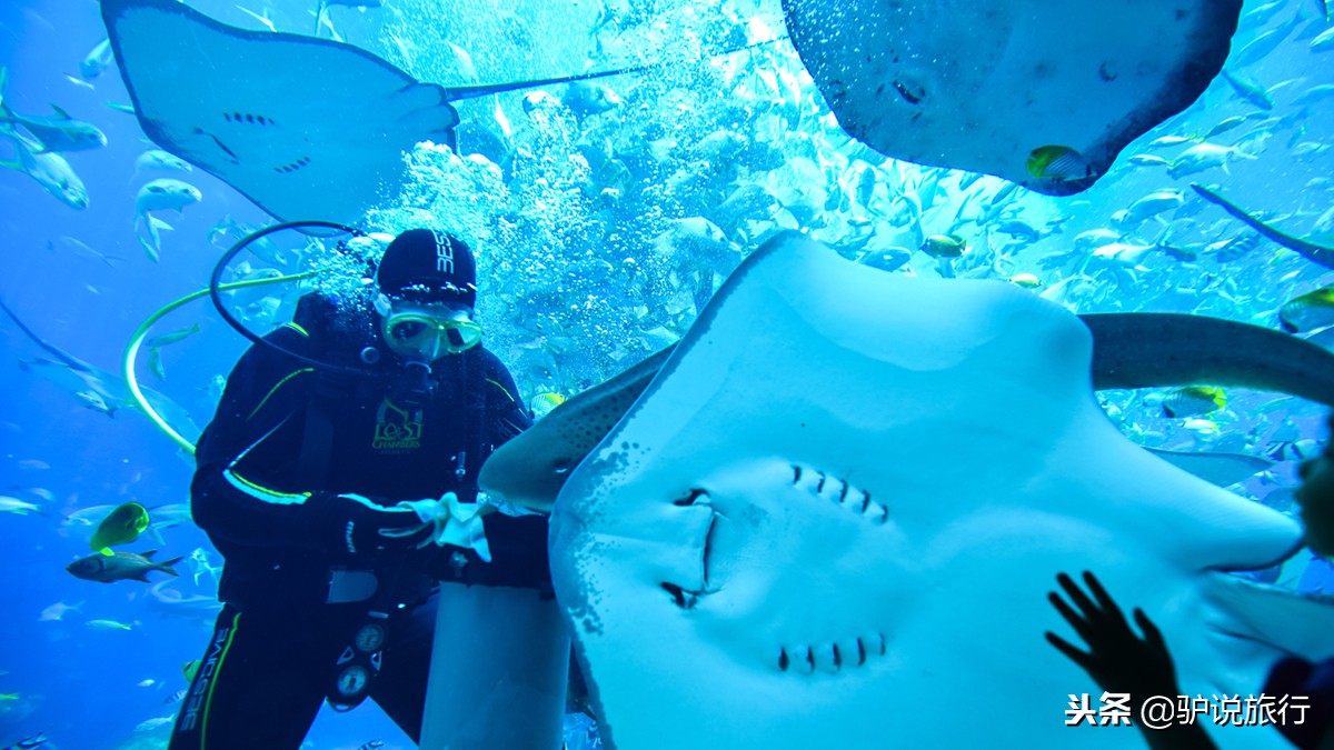 天房洲际与亚特兰蒂斯,天房洲际酒店和亚特兰蒂斯
