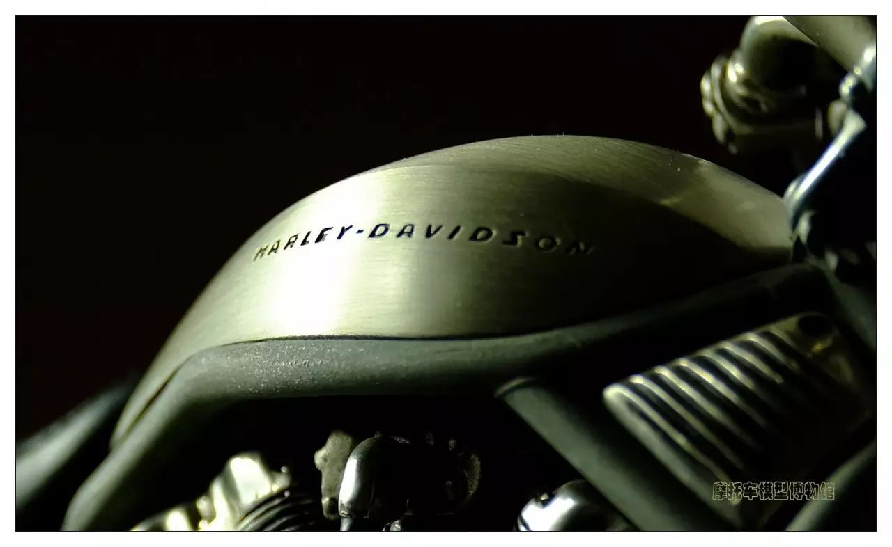 一枚小生,一枚小鲜肉视频