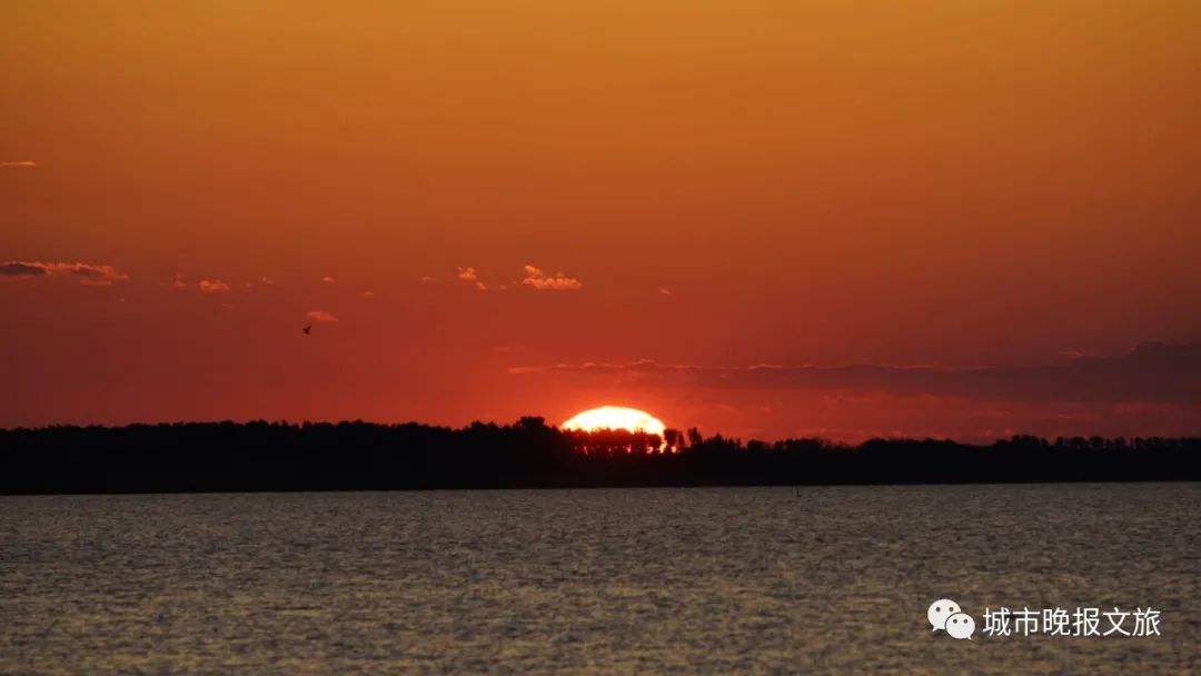 城晚拍拍丨落日余晖