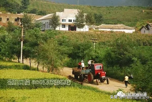 朝鲜七八十年代农村照片,80年代朝鲜老照片农村