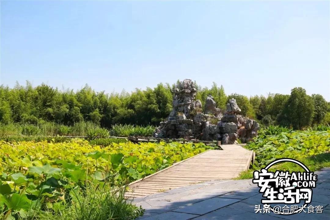 2020年,在这50个地方遇见不一样的合肥