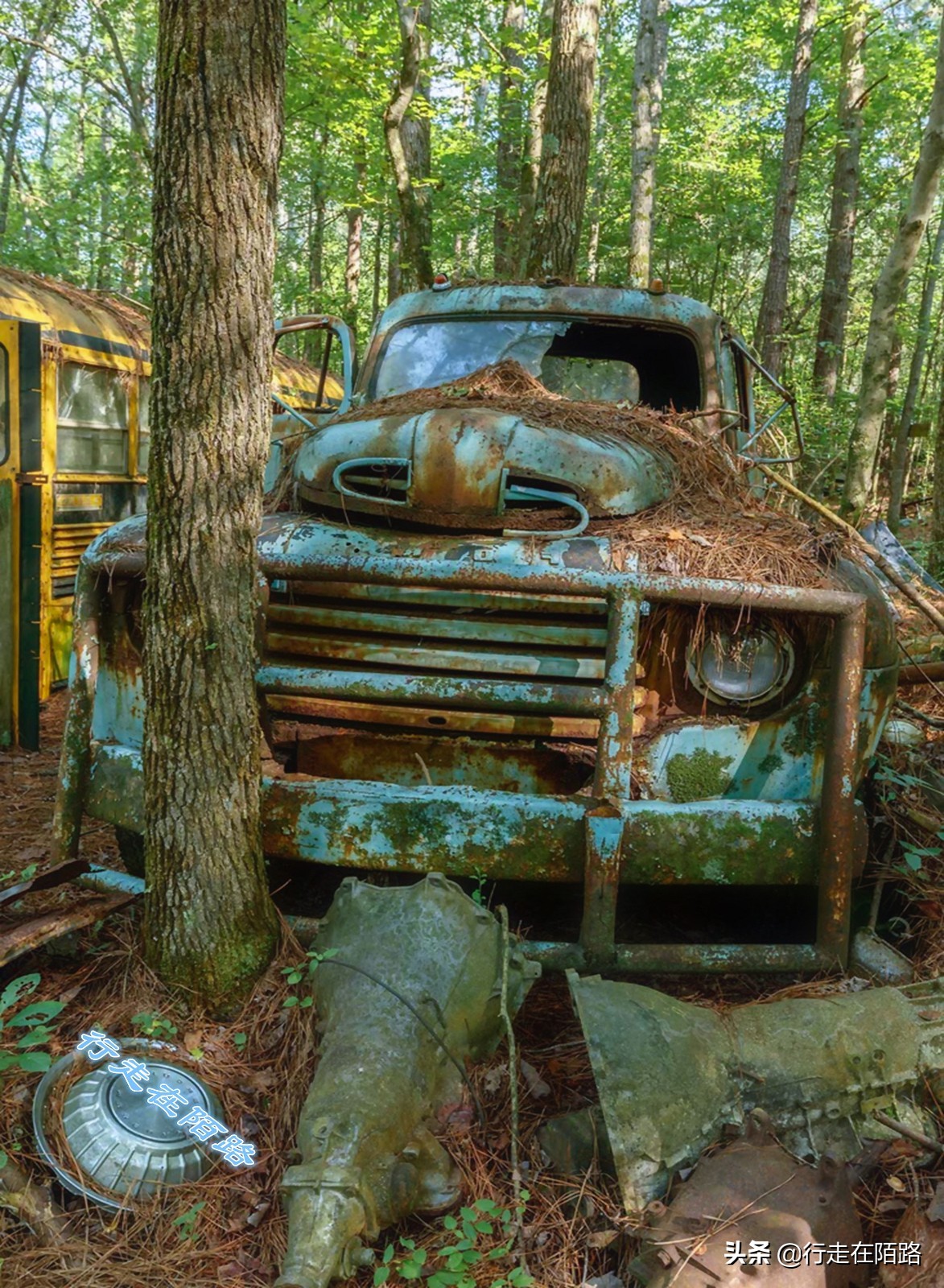 最值钱的废品,最值钱的废品回收