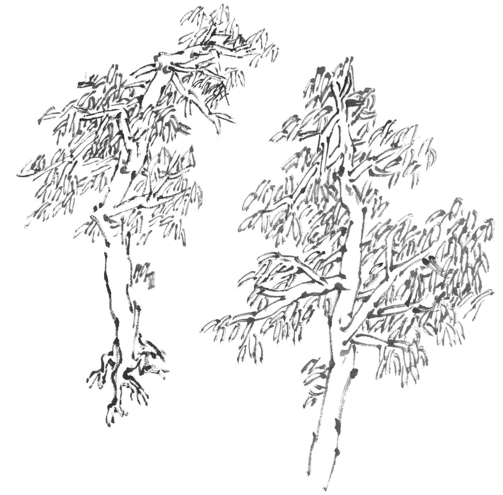 树画简单初学者教程,树画不好看了怎么改