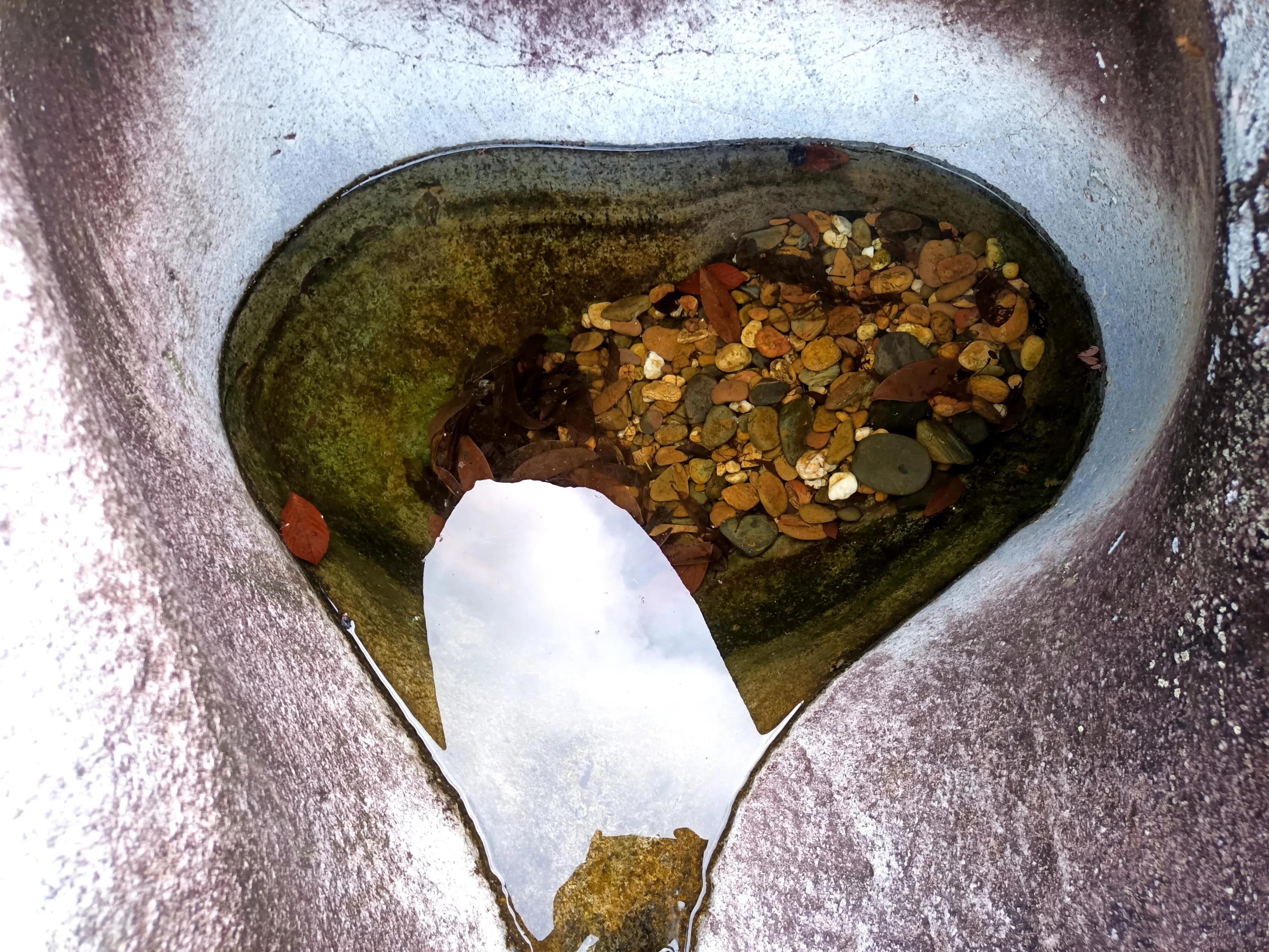 情人谷深圳,深圳情人谷绝情谷