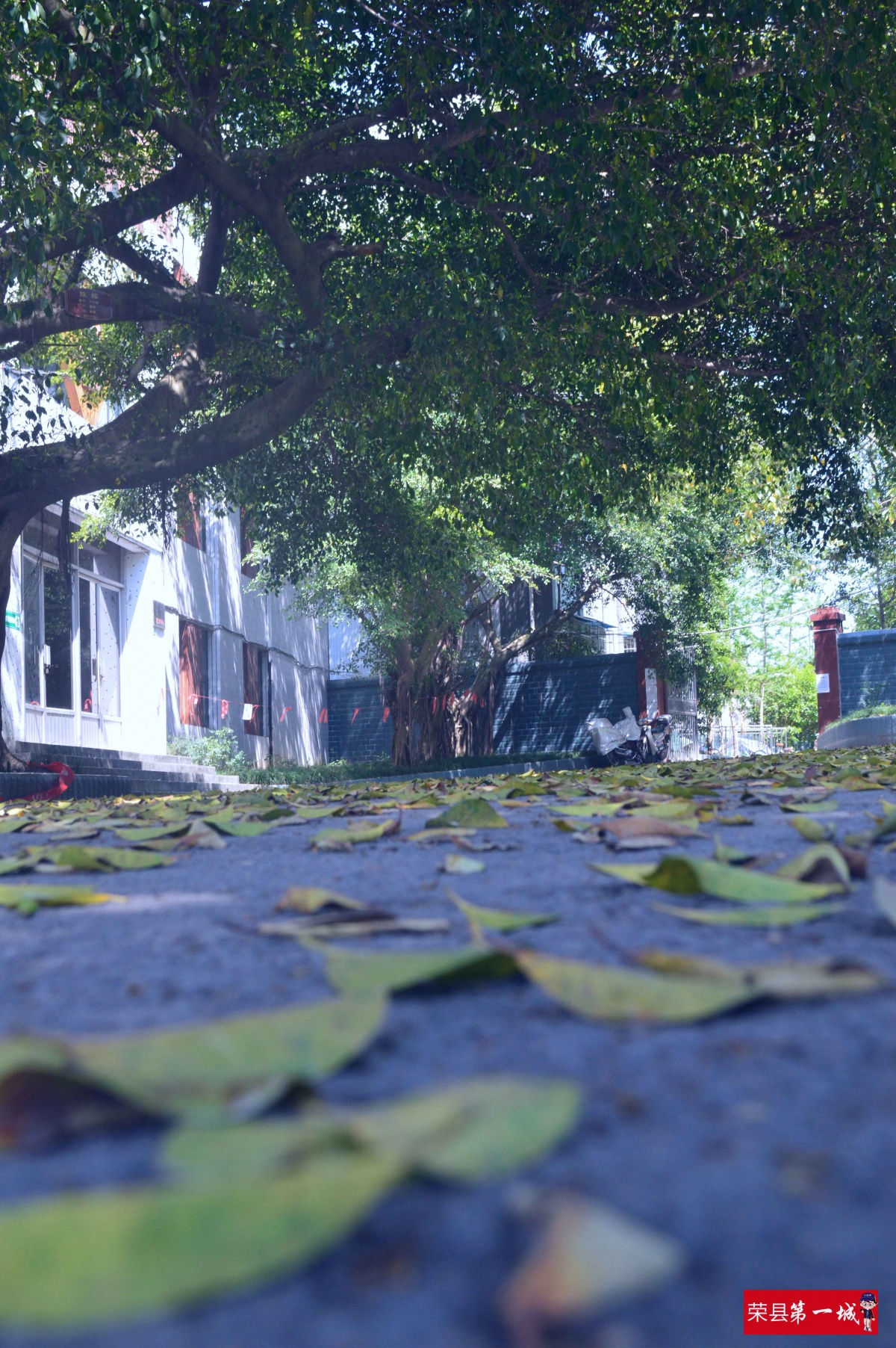 钟鼓楼回忆,荣县中学高中回忆