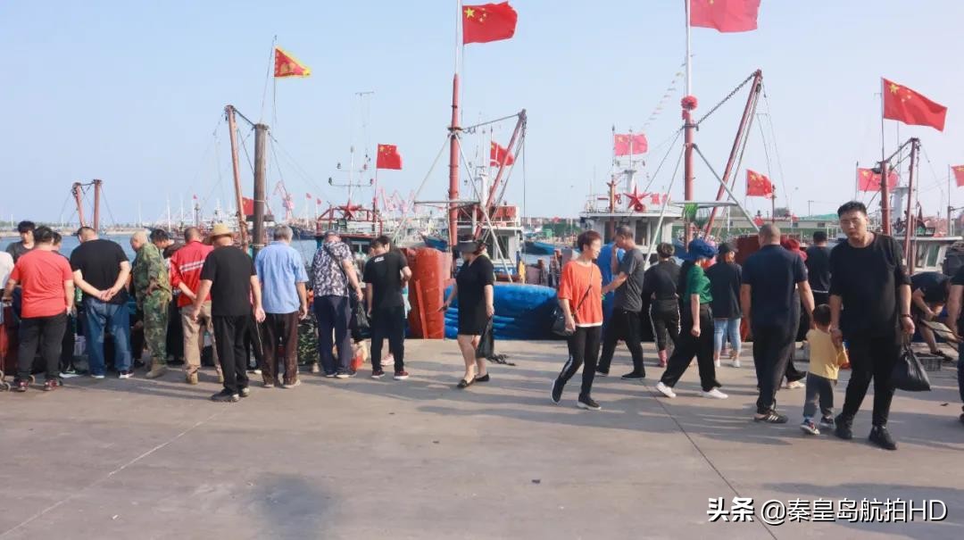 秦皇岛买海鲜去哪里,秦皇岛哪里买出海回来的海鲜