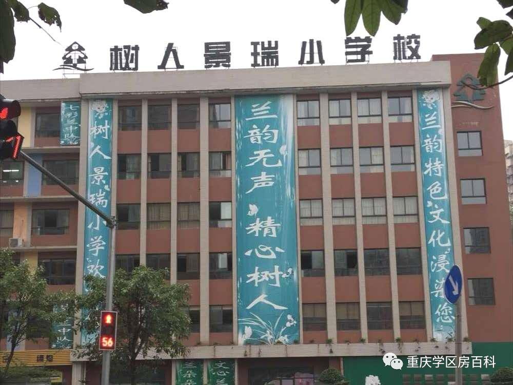 树人小学有初中吗,树人小学总校在哪里