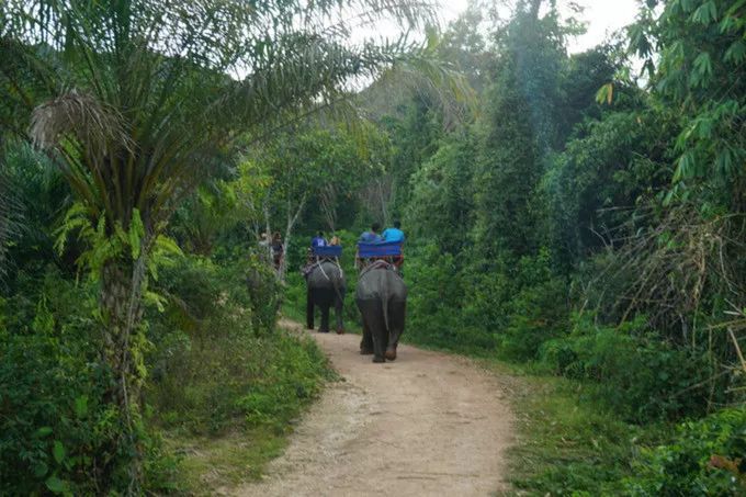 泰国甲米自由行10天费用,泰国甲米4天3晚自由行