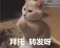 安抚奶嘴到底该不该用吸管喝奶,安抚奶嘴到底该不该用辅食勺