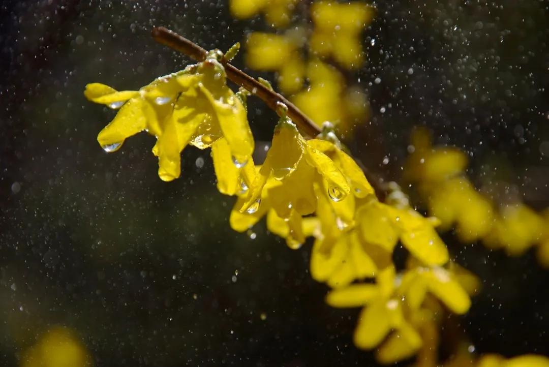 被亲妈嫌弃,被亲妈嫌弃了