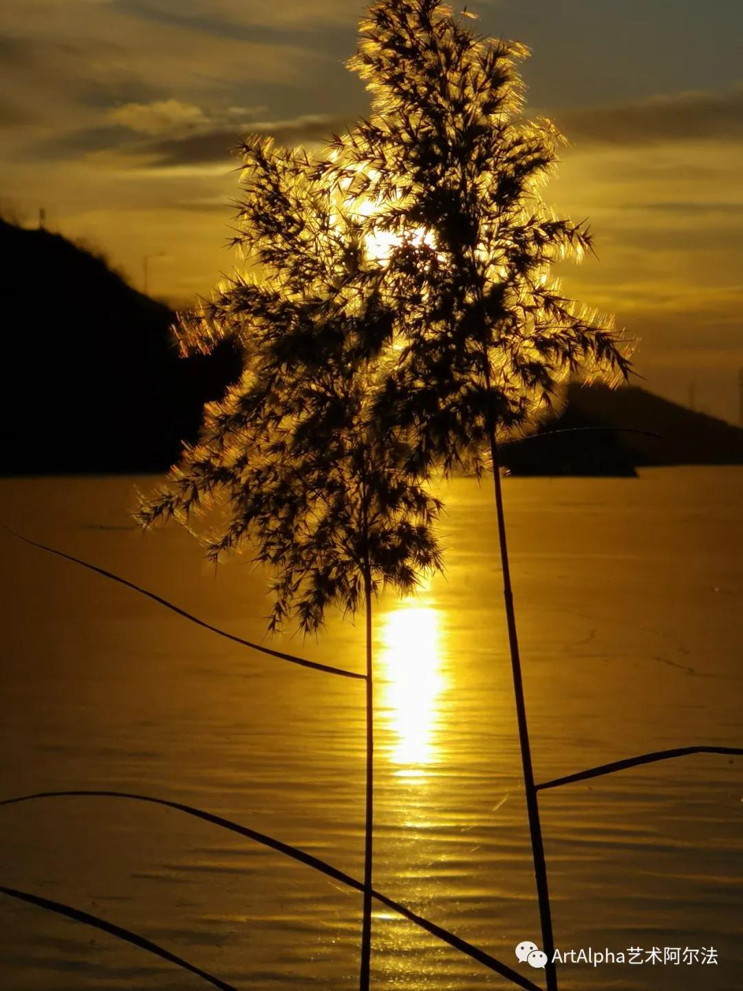 贾廷峰作品,贾廷峰水墨作品