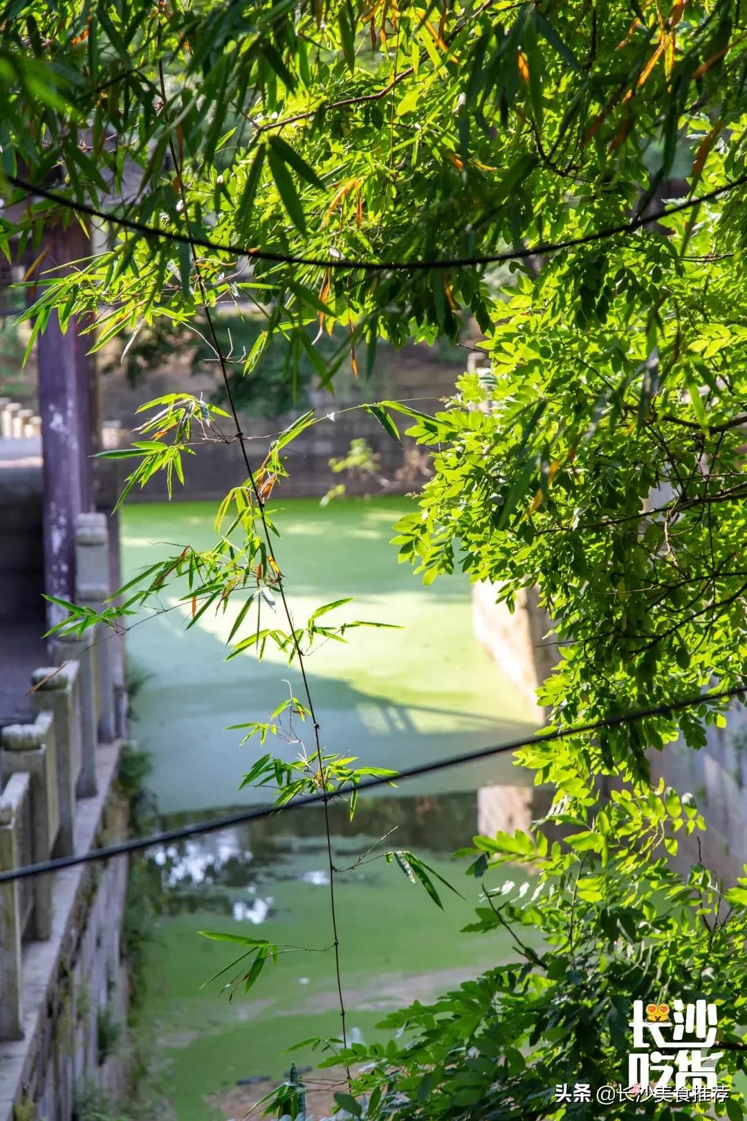 长沙望城古镇旅游景点,长沙市望城区各景点小吃