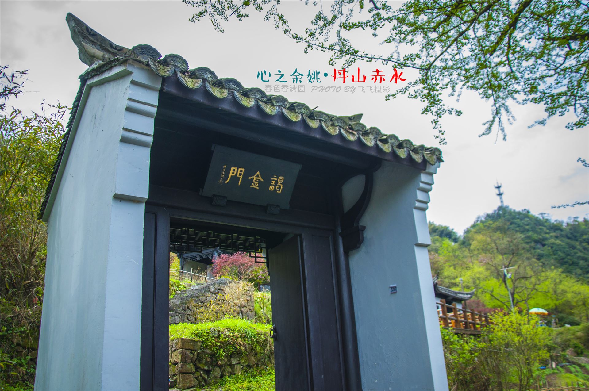 丹山赤水的老柿林景区,丹山赤水柿林古村