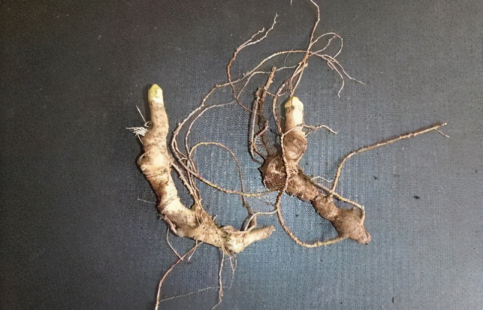 营养补充剂有多少种补法按什么量,营养补充剂怎么选