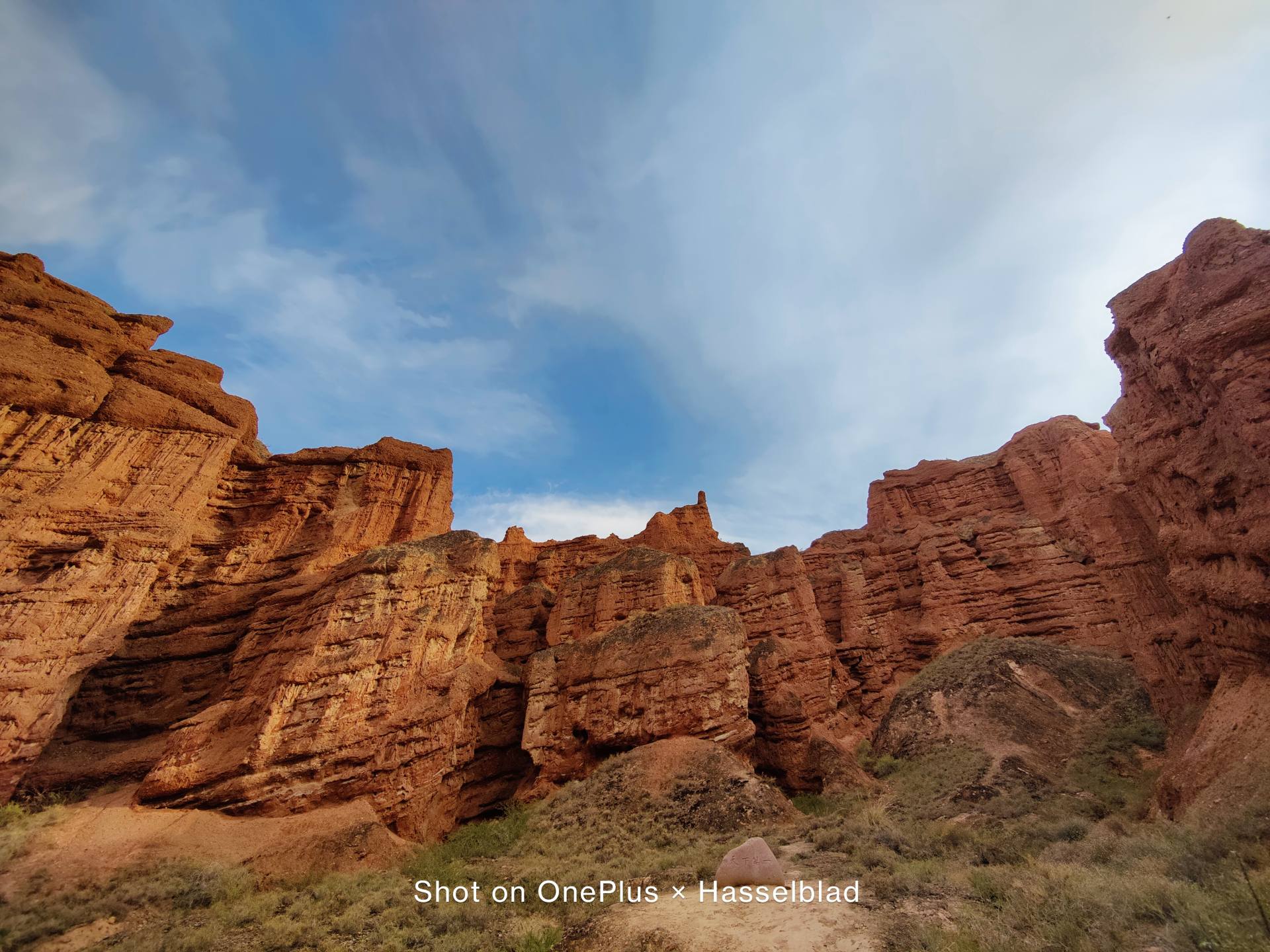 2021年oppo手机特价,oppo2021年旗舰机