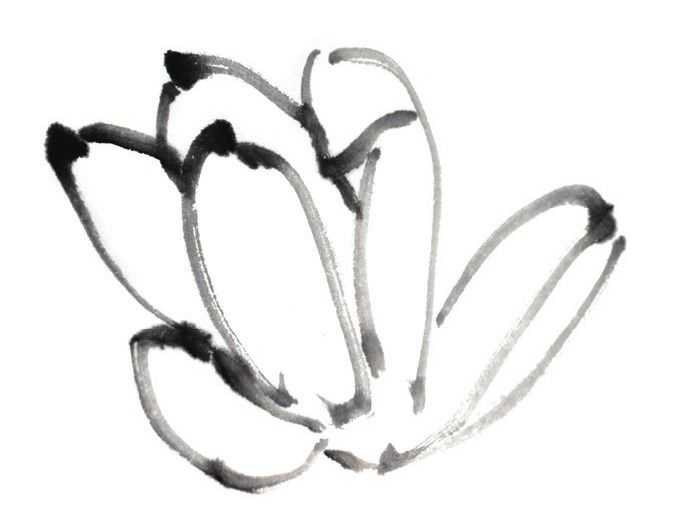 国画刘存惠荷花画法全视频,国画山水画教学视频荷花画法