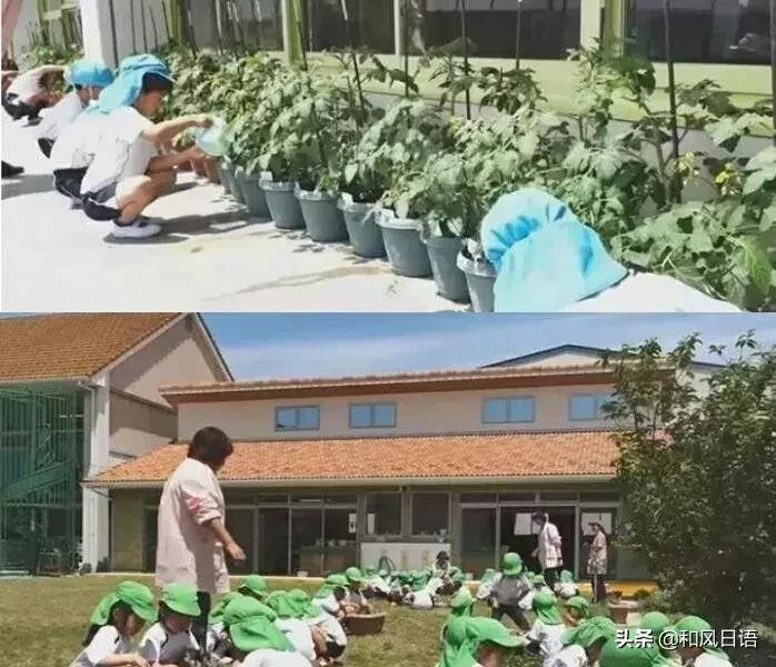 日本无情到令人恐惧的教育,日本教育的优点和缺点