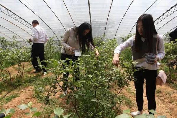 从淄博到日照旅游详细路线是什么,济南淄博潍坊烟台威海青岛日照