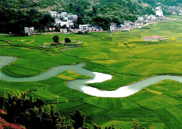 为什么有些人烟酒不会上瘾,为什么有的人烟酒不离不会得癌症